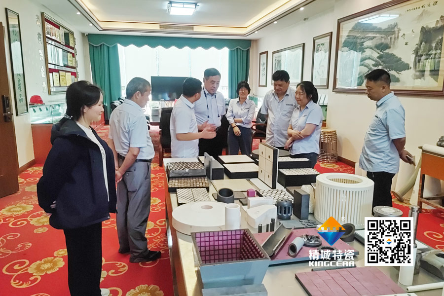 清华大学潘伟教授到访918博天堂特瓷